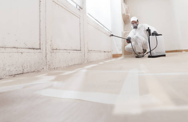 24/7 Emergency Basement Mold Remediation experts in Calvin, PA